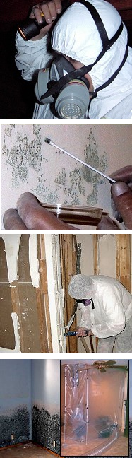 Mold Courses / Mold Certification Mold Courses / Mold Certification